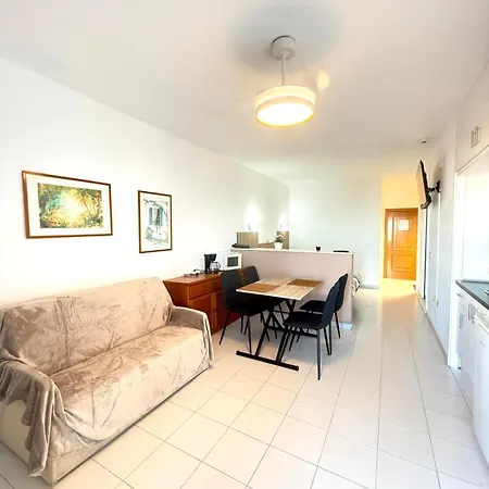 Estudio En Puerto De La Cruz