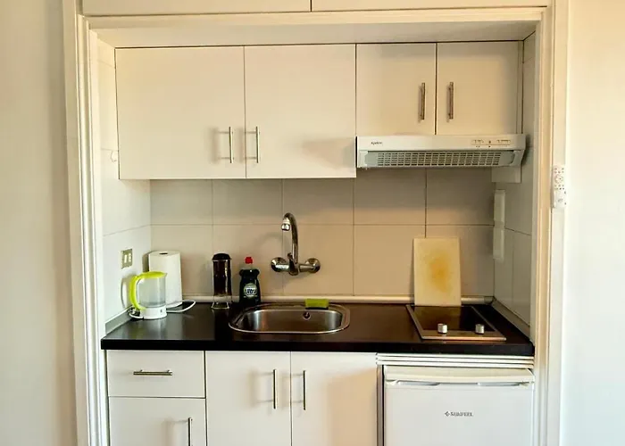 Estudio En Puerto De La Cruz